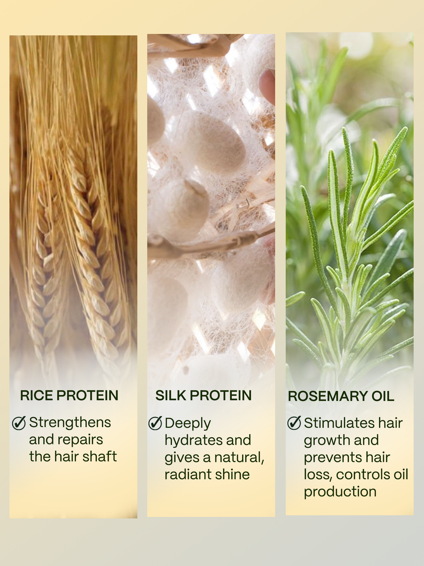 Key Ingredients of Deep Moisture Conditioner